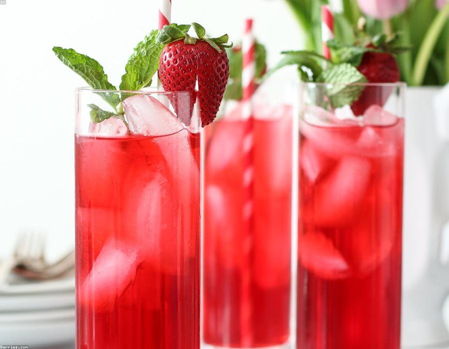 Hibiscus Ice Tea